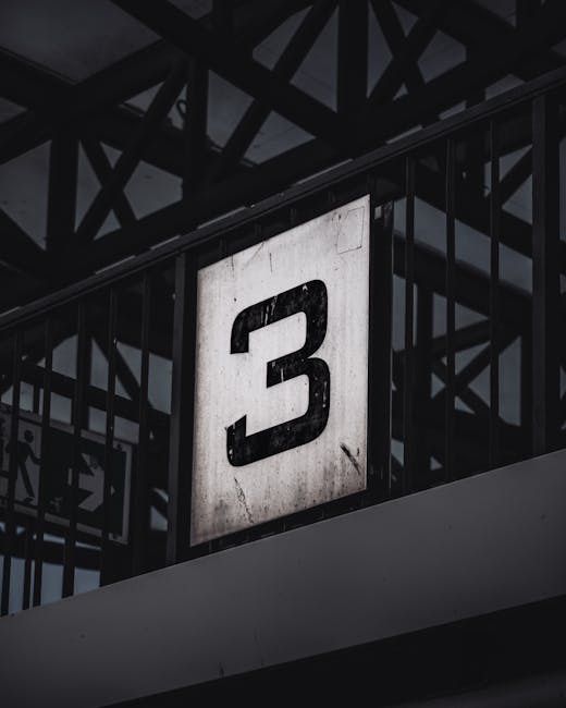 Level 3 Performance Visual